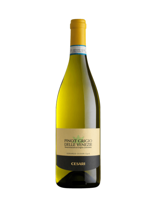 CESARI PINOT GRIGIO DELLE VENEZIE ITALY 2019 Wine